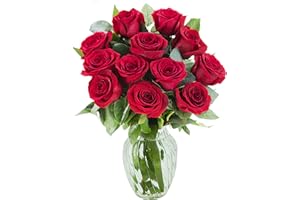 KaBloom Flowers - The Romantic Classic Bouquet of 12 Fresh Red Roses (Farm-Fresh, Long-Stem) with Vase - Gift for Birthday, Valentine, Mother’s Day Fresh Flowers