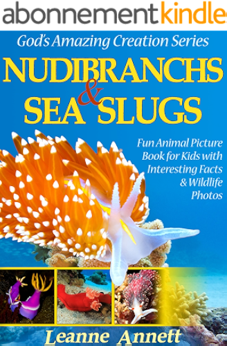 Download Nudibranchs & Sea Slugs! Kids Book About Colorful Marine Life: Fun Animal Picture Book for Kids with Interesting Facts & Wildlife Photos (God's Amazing Creation Series 2) (English Edition) PDF