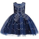 Weileenice Flower Girls Wedding Dress Tulle Little/Girl Lace Bridesmaid Holiday Pageant Party Tutu Dresses