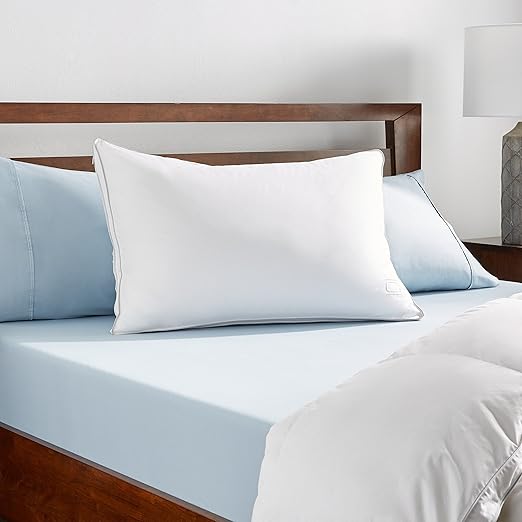 Amazon Com Nikki Chu White Goose Down Pillow Queen Home Kitchen