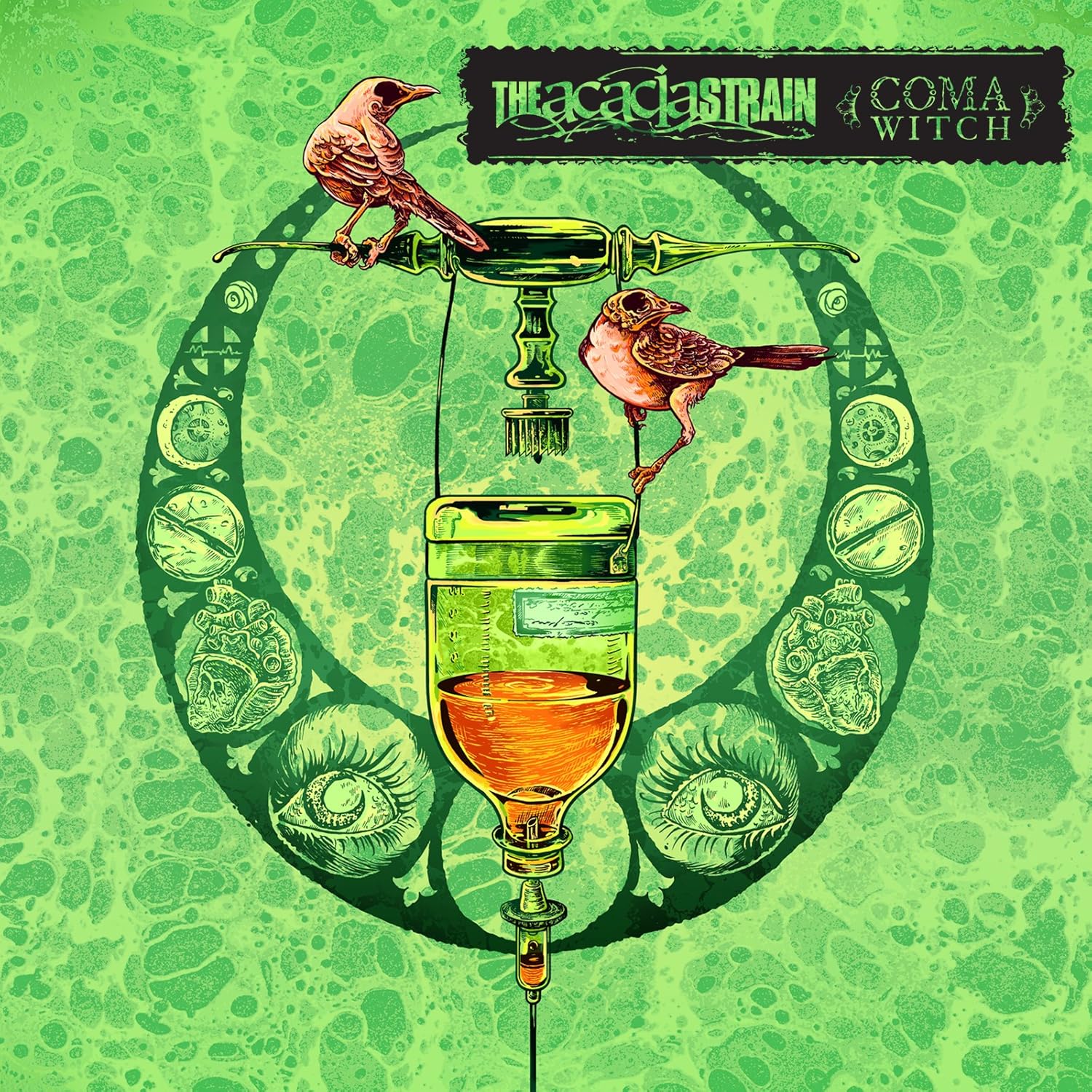 Coma Witch The Acacia Strain Amazon Fr Musique Coma Witch The Acacia Strain Amazon Fr Musique