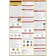 How to Read A Safety Data Sheet (SDS/MSDS) Poster | English & Spanish 2025 | 36 x 24 Inch | UV Coated Paper Sign | OSHA, HMIS, Hazard Compliance Center | Display Instructions Chemical Labels (Spanish)
