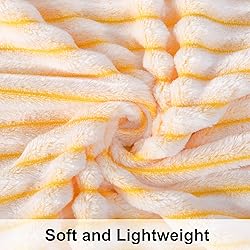 NTBAY Plush Soft Flannel Baby Blanket, Warm and