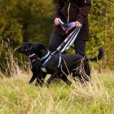 Halti Double Ended Lead for Dogs Large Purple 2m Neoprene Padded Reflective view 3