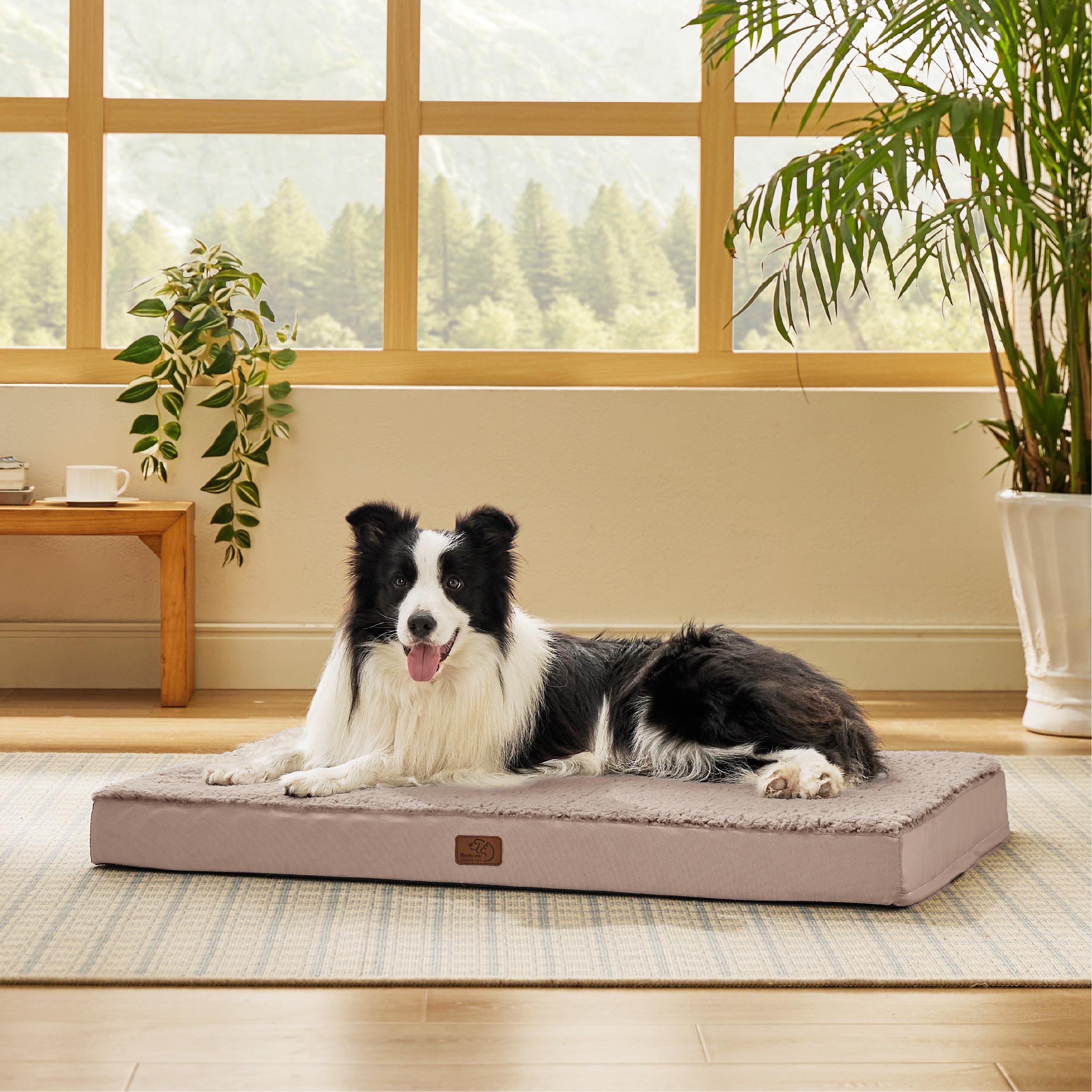 Photo 1 of Bedsure Dog Beds Large Sized Dog - Comfy Flat Pet Beds with Removable Washable Cover, Orthopedic Egg Crate Foam Puppy Mat, Suitable for Pet Up to 65 lbs