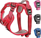 Elite Paws Premium Metal Buckle Dog Harness Red Medium