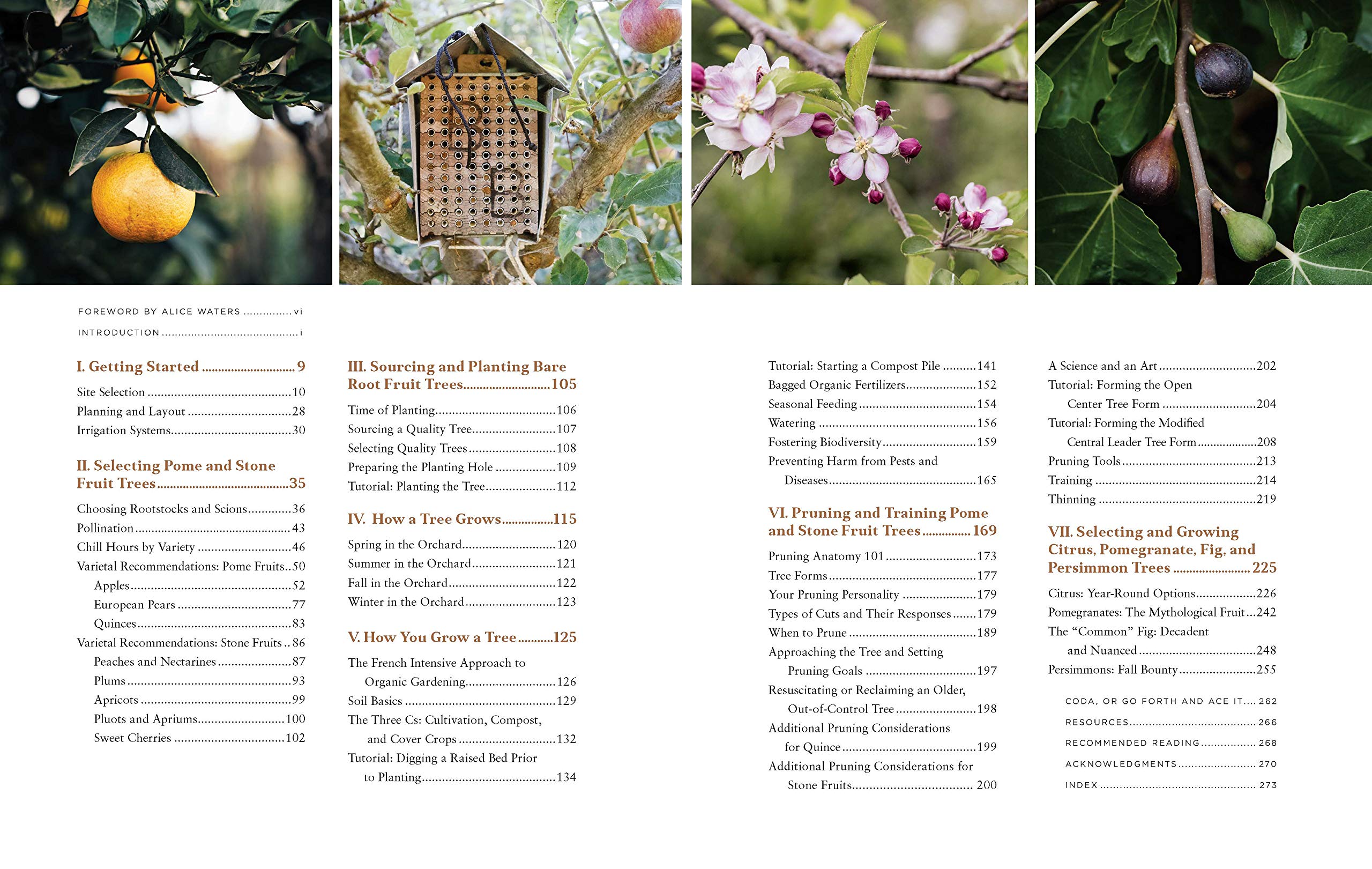 Fruit Trees for Every Garden: An Organic Approach to Growing Apples, Pears, Peaches, Plums, Citrus, and More Fruit Trees for Every Garden: An Organic Approach to Growing Apples, Pears, Peaches, Plums, Citrus, and More Fruit Trees for Every Garden: An Organic Approach to Growing Apples, Pears, Peaches, Plums, Citrus, and More Paperback Kindle