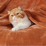 Bedsure Fleece Blanket 220x240 cm Burnt Orange Microfibre Soft Throw view 2