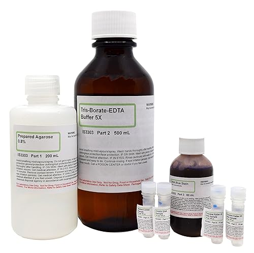 ALDON Innovating Science DNA Paternity Testing Electrophoresis Lab ...