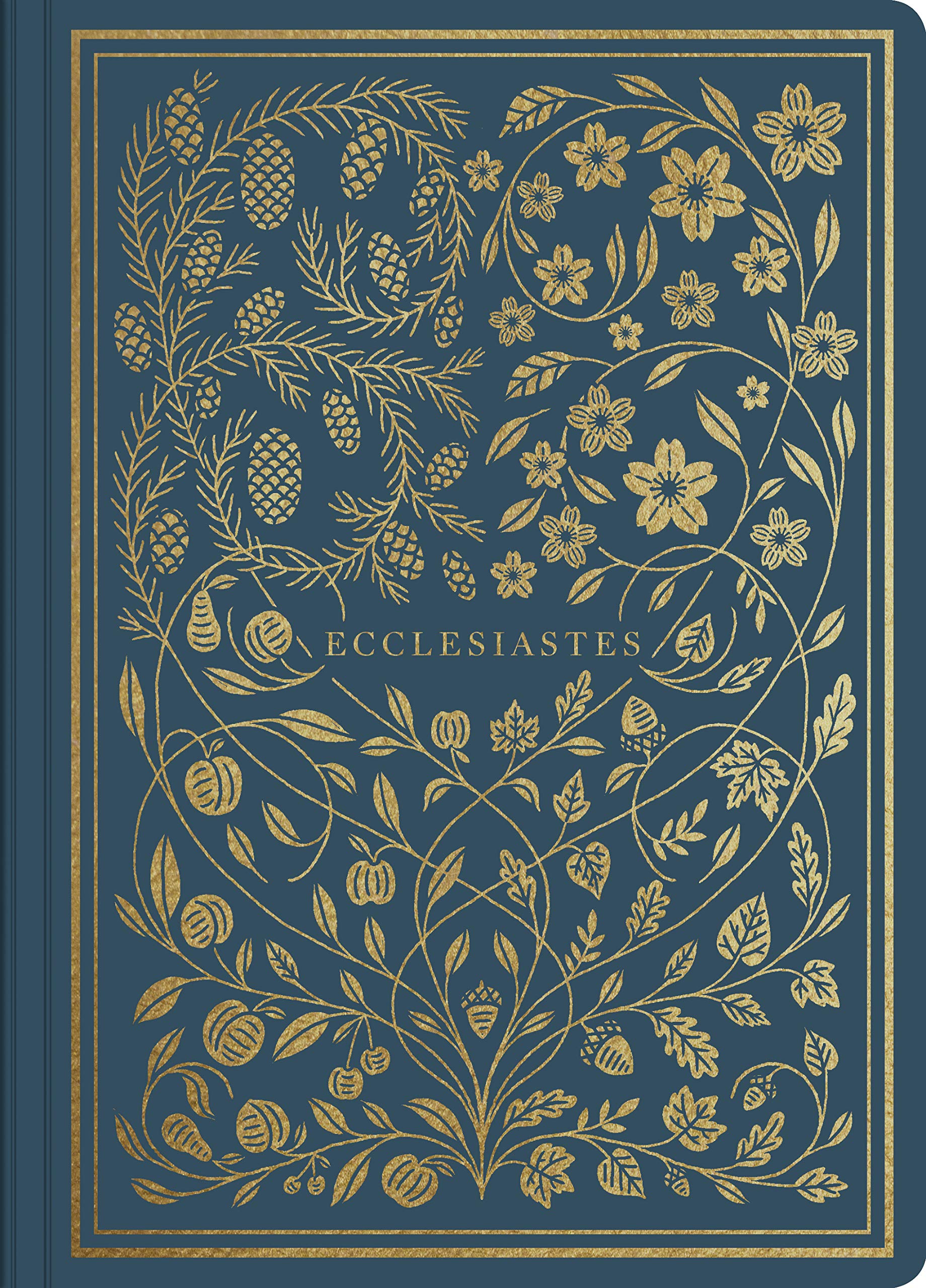 Esv Illuminated Scripture Journal Ecclesiastes Esv Bibles 9781433568619 Amazon Com Books