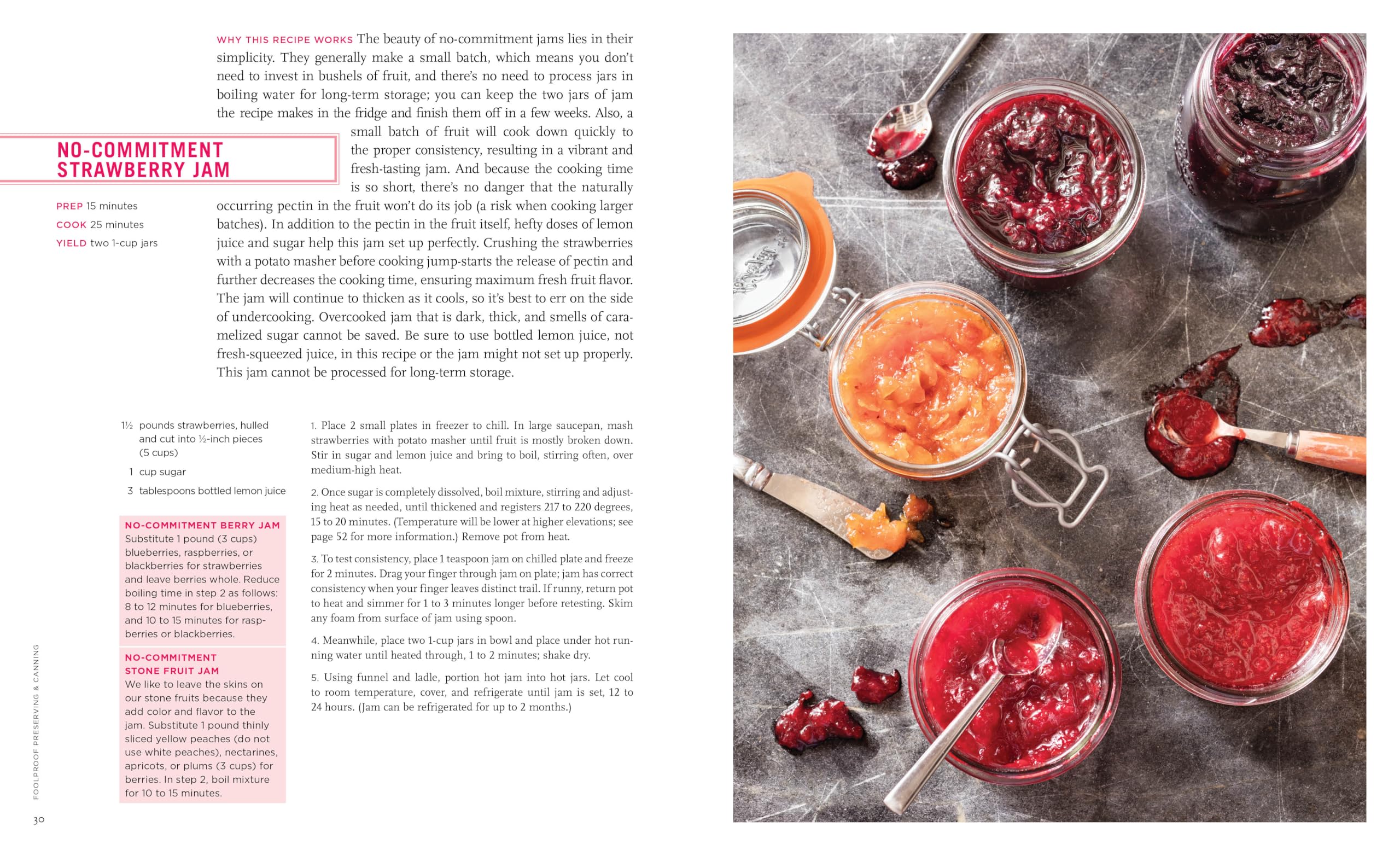 Foolproof Preserving and Canning: A Guide to Small Batch Jams, Jellies, Pickles, and Condiments