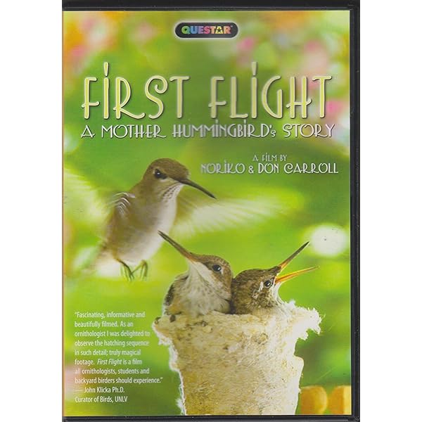 その他 Video Guide to Hummingbirds [DVD] Amazon.com: Nature: Hummingbirds : ., .: Movies & TV