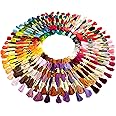 ThreadNanny 100 Colors Embroidery Thread - 100 Rainbow Color Skeins Embroidery Floss Set Cross Stitch Threads Friendship Bracelets Kit