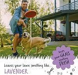 BUGALUGS Artificial Grass Cleaner 1L Lavender Dog Safe Pet Disinfectant view 7