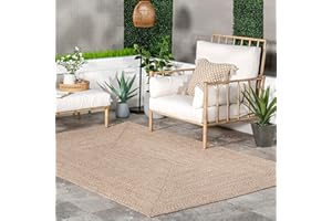 nuLOOM Wynn Braided Indoor/Outdoor Area Rug, 3x5, Tan