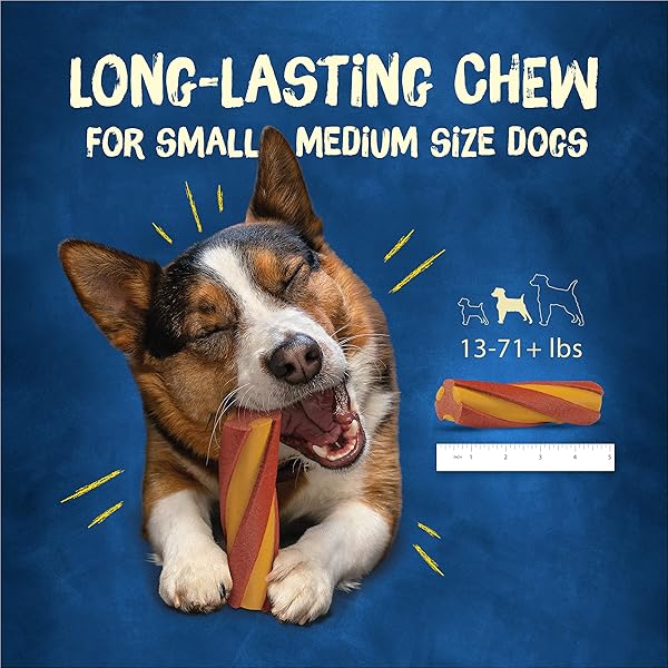 PURINA BUSY WITH BEGGIN’ TWIST’D CHEDDAR AND HICKORY SMOKE FLAVORS ADULT DOG TREAT – 10 CT. POUCH