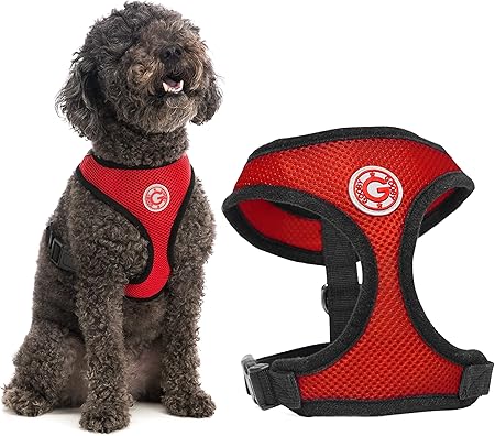 mesh harness for small dogs