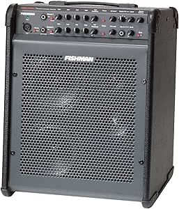 Amazon.com: Fishman PRO-LBX-300 Loudbox Performer Acoustic  