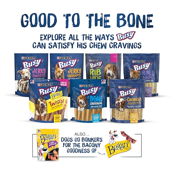 PURINA BUSY WITH BEGGIN’ TWIST’D CHEDDAR AND HICKORY SMOKE FLAVORS ADULT DOG TREAT – 10 CT. POUCH