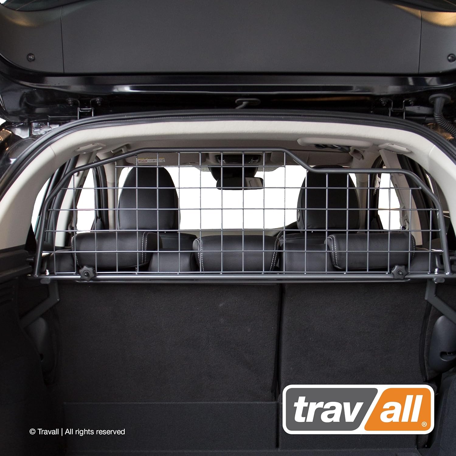 westie puppies playing