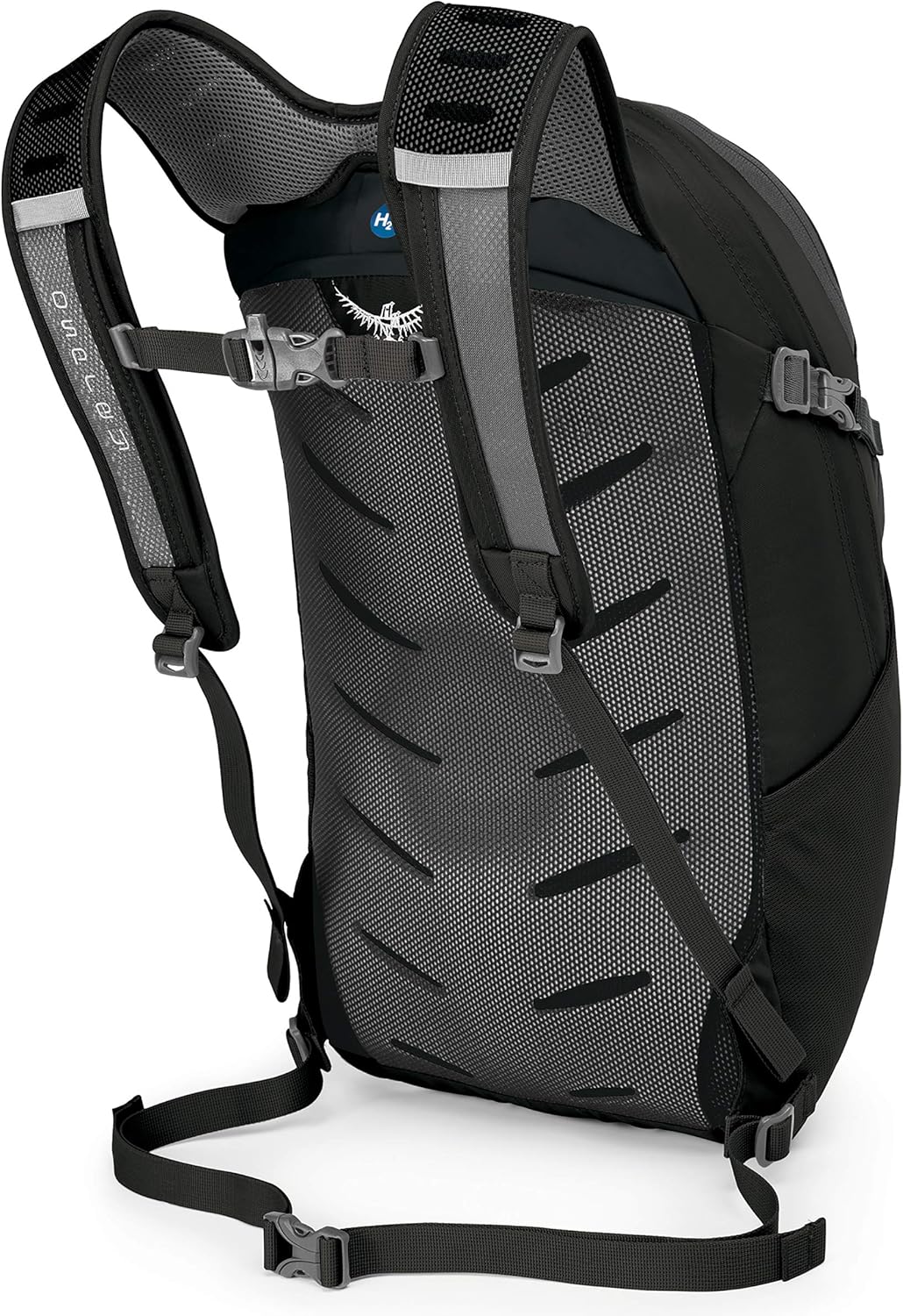Osprey Packs Daylite Plus Daypack, Black: Sports & Outdoors