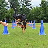 Lord Anson Dog Agility Hurdle Cone Set - 8 Cones