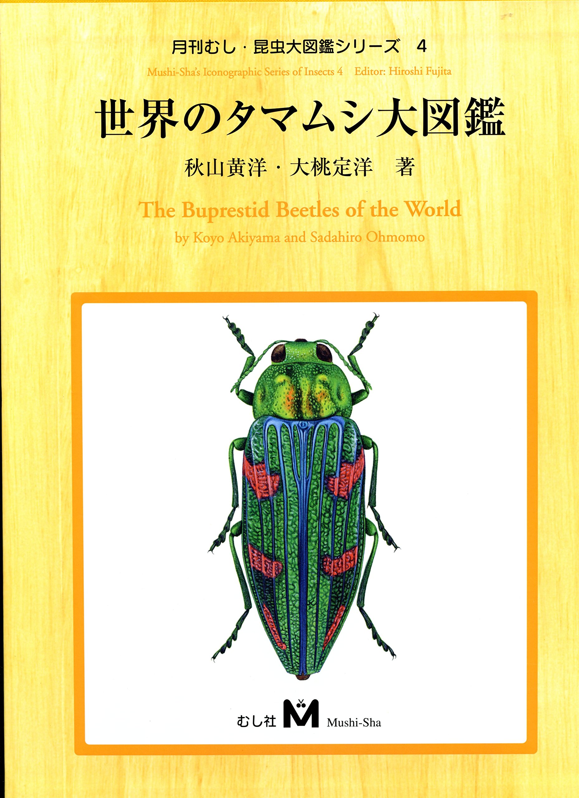 世界のタマムシ大図鑑 月刊むし 昆虫大図鑑シリーズ 4 秋山 黄葉 大桃 定洋 本 通販 Amazon