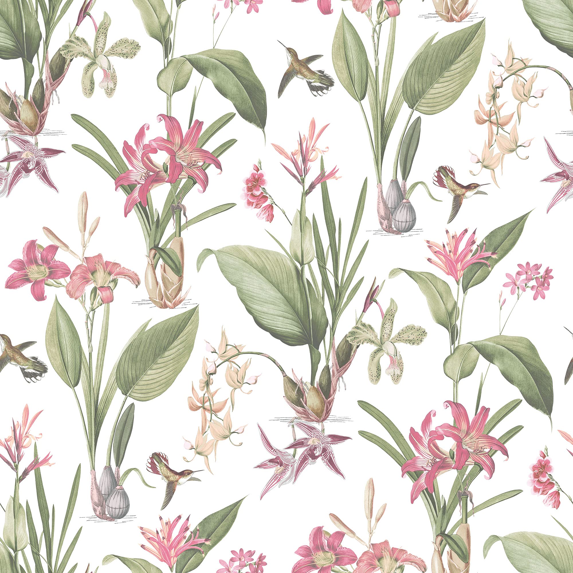 Galerie G78506 Secret Garden Cottage Botanical Wallpaper, White/Neutral, 10m x 53cm