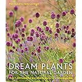Dream Plants for the Natural Garden