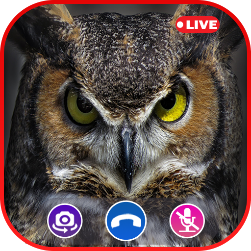 Amazon Com Call Video Owl Simulator Prank Call Apps Appstore For Android