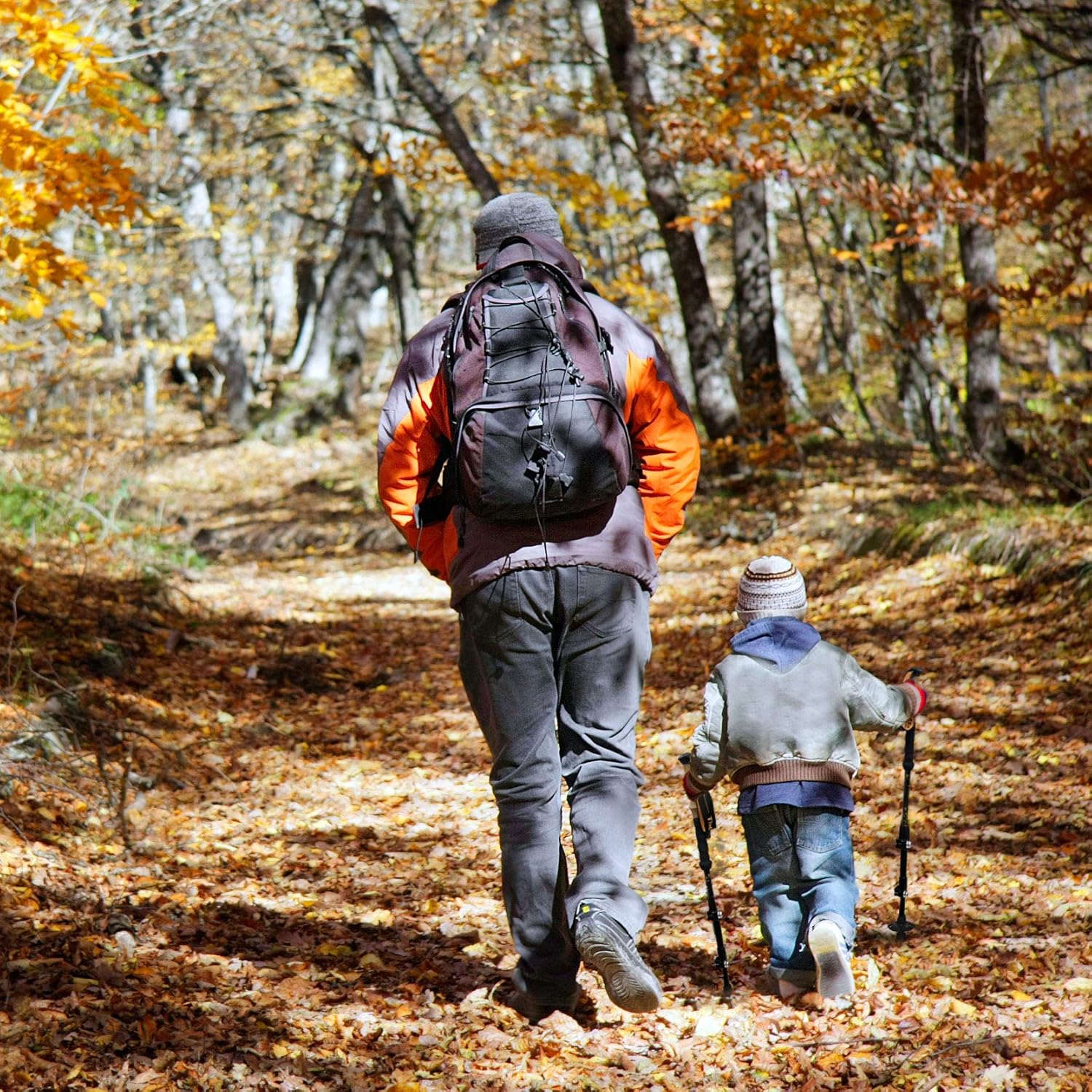 TheFitLife Carbon Fiber Trekking Poles – Collapsible and Telescopic Walking Sticks with Natural Cork Handle and Extended EVA Grips, Ultralight Nordic Hiking Poles for Backpacking Camping (Orange) : Sports & Outdoors