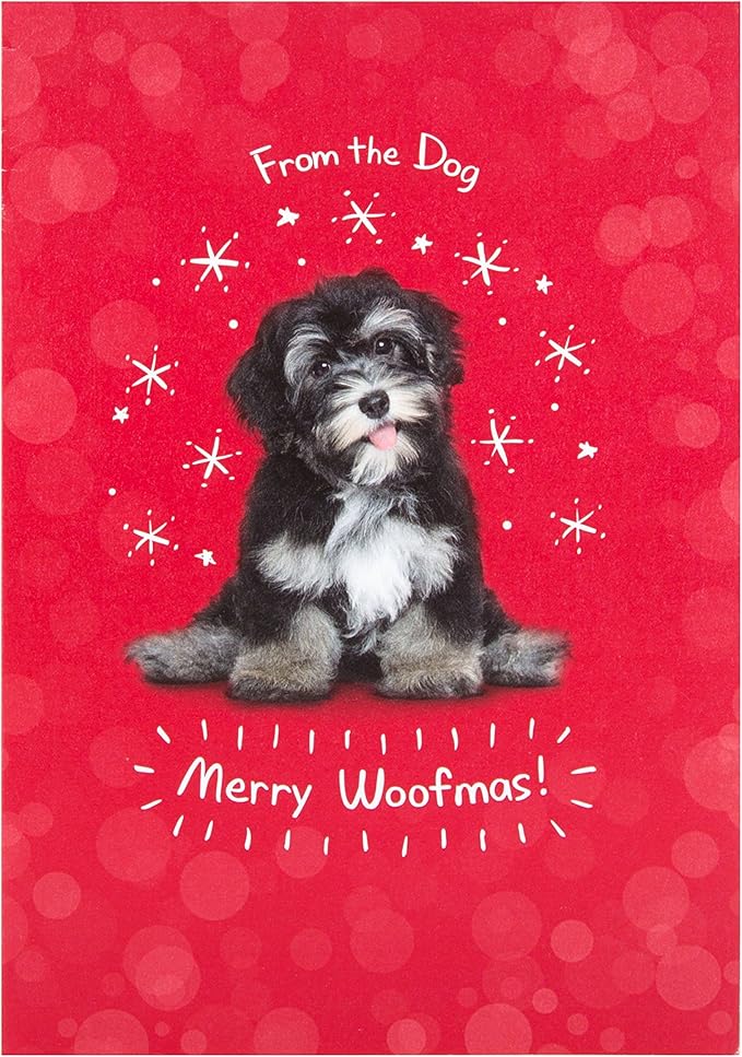 tibetan terrier rspca