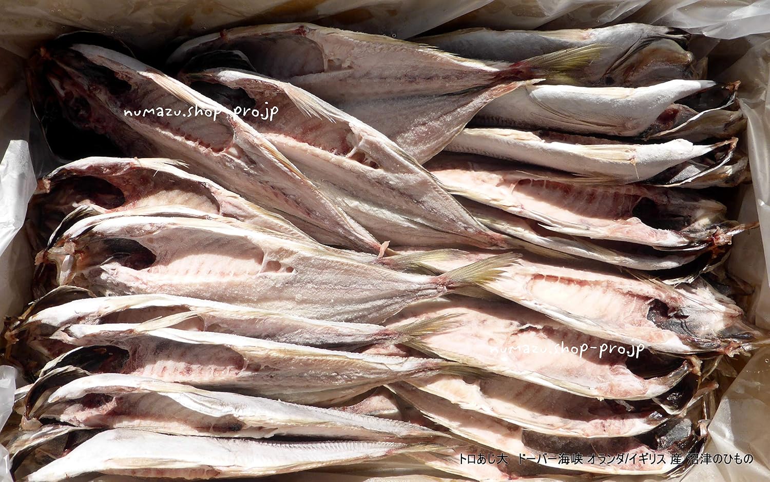 Amazon 脂がしたたる肉厚とろあじ開き特大 枚 橘水産 業務用 沼津のひもの 干物 燻製 通販