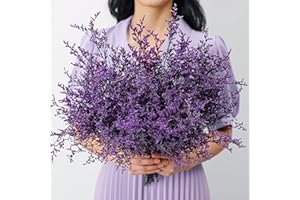 SAIPRO Preserved Natural Limonium Bouquet, 25+ Stems Real Fresh Caspia Bellidifolium, Sea Lavender, Baby Breath Flowers, for Wedding Birthday,Home Décor, Mother's Day,Valentine’s Day,Rustic Holiday(Purple)