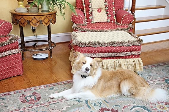 indoor invisible fence for dogs