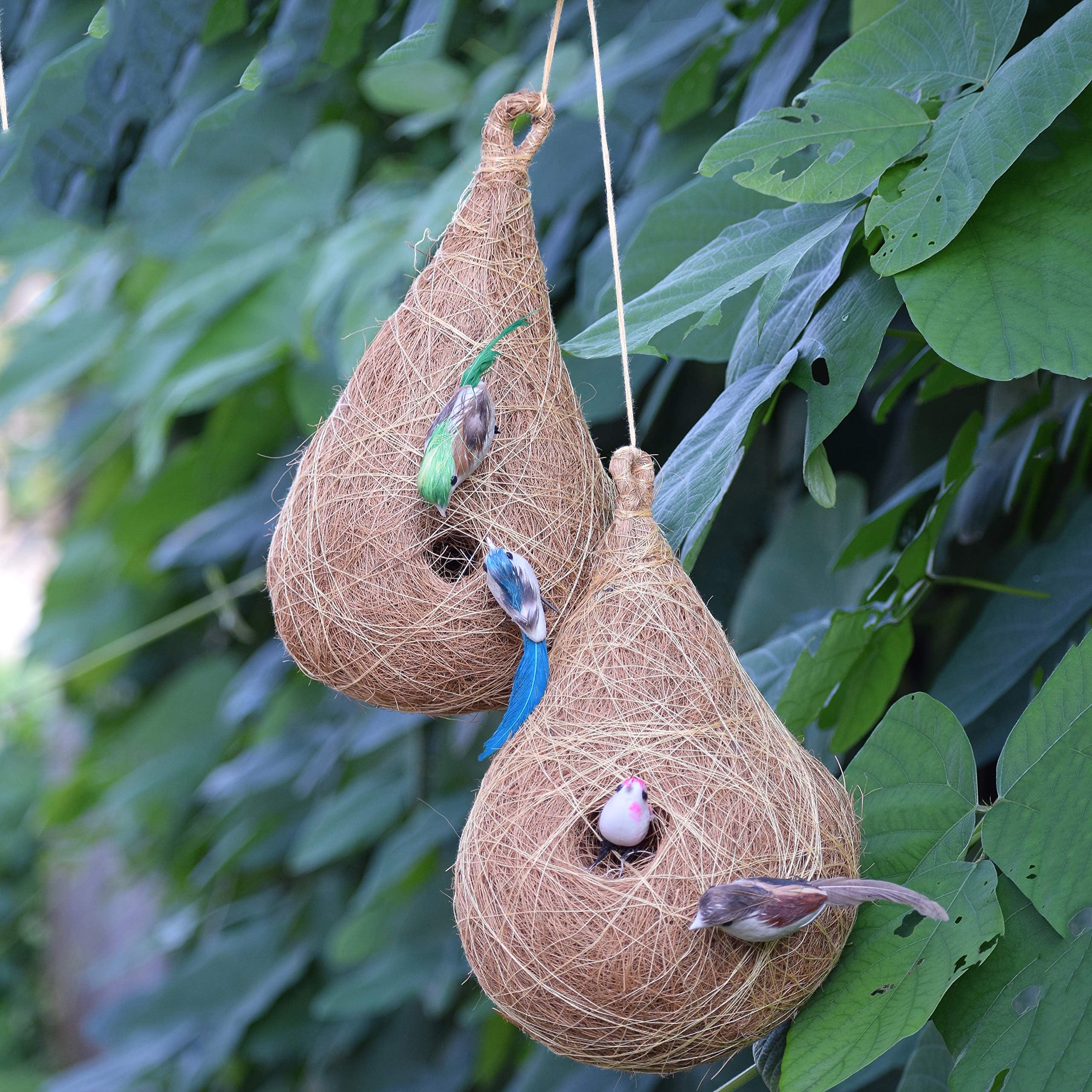 Haastika Handcraft Bird Nest - Pack of 2