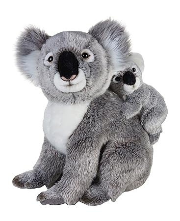 koala peluche amazon