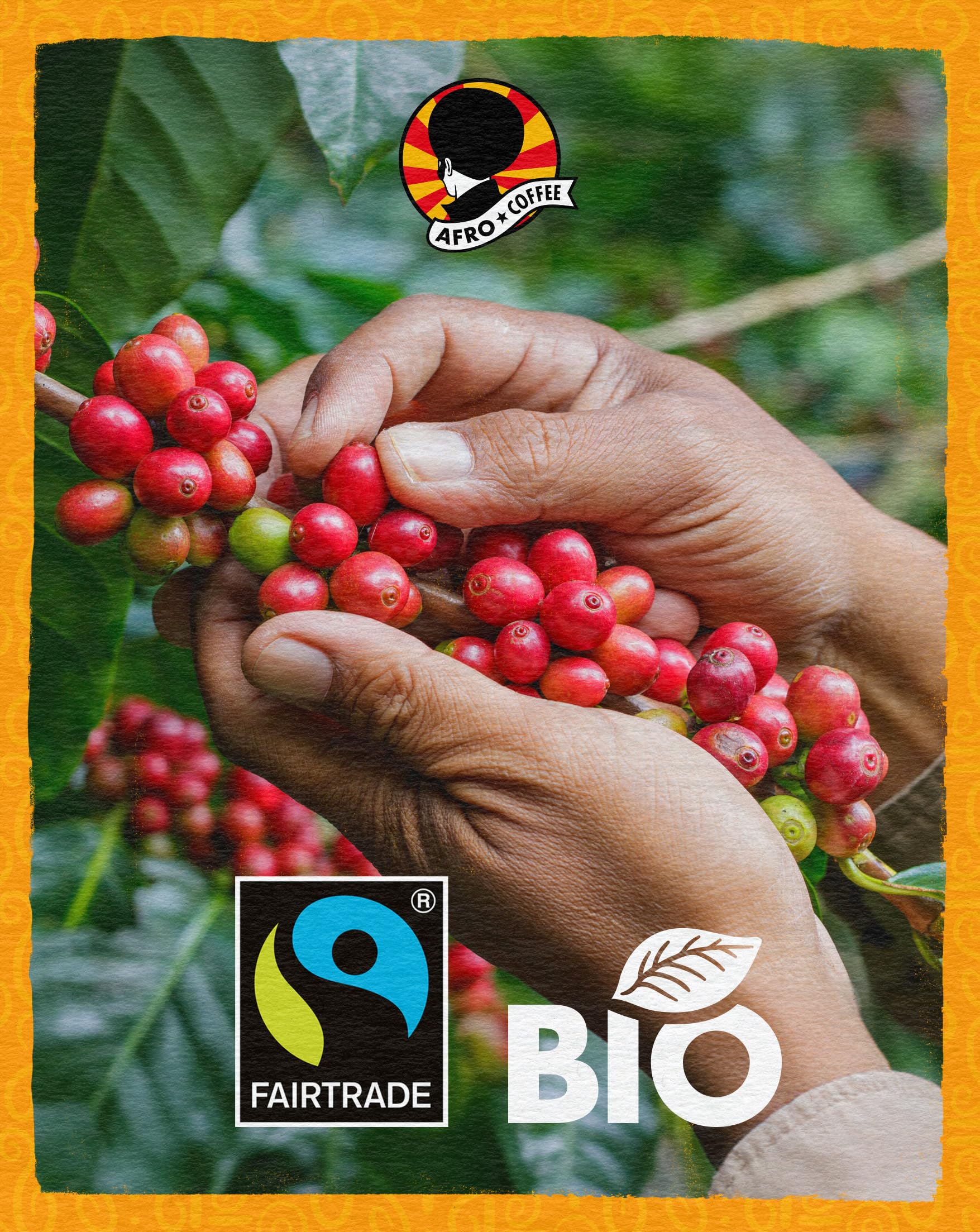 AFRO COFFEE Mild & Aromatic I 500g Premium Bio Kaffeebohnen Fairtrade I Arabica & Robusta Kaffee ganze Bohnen I Bohnenkaffee aus Ostafrika mit blumiger Note I handgepflückt, mittel geröstet, säurearm 5