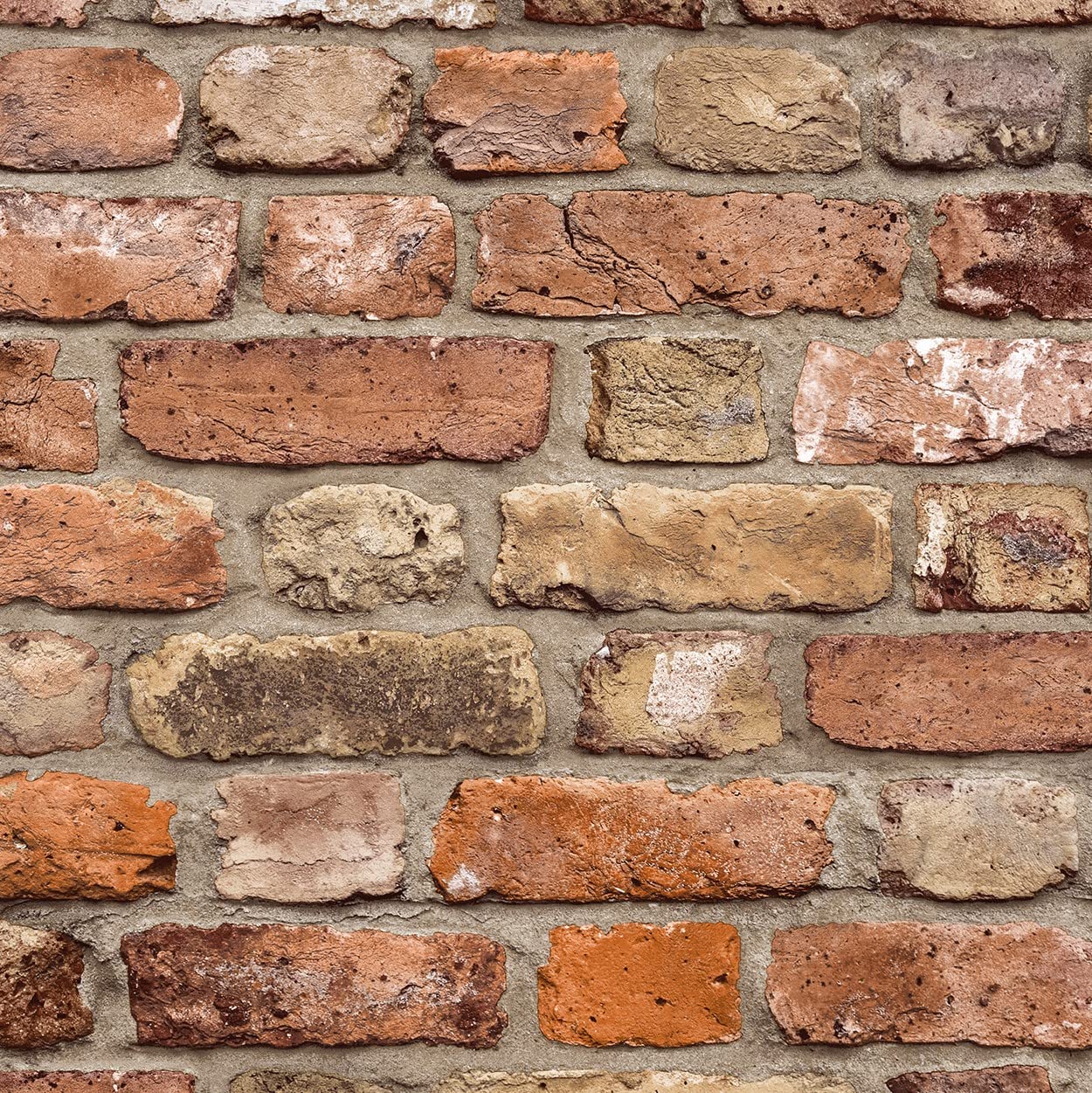 Grandeco FC2502 Thema Facade Pattern Line Wallpaper, Multi-Colour, 10.05 x 0.53 m