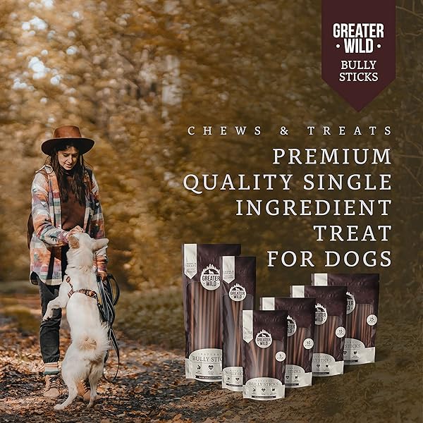 GREATER WILD 6 INCH BULLY STICKS DOG TREATS, 15 PACK, STANDARD THICKNESS – SINGLE INGREDIENT 100% ALL NATURAL BEEF, LONG LASTING DOG CHEWS