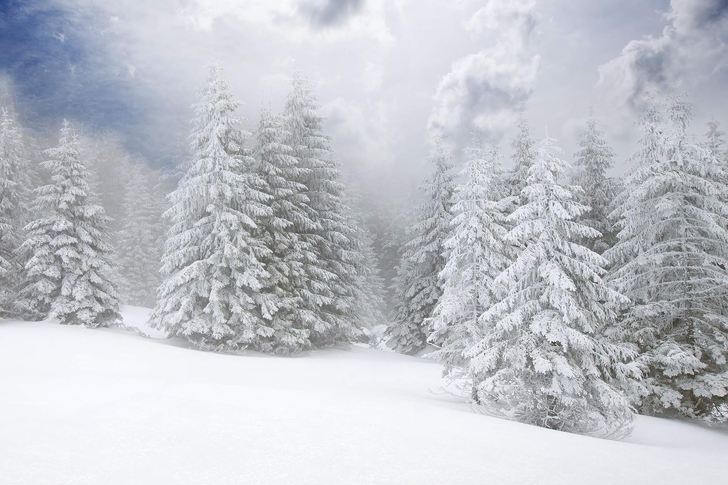 Amazon Com Christmas Forest Backdrop White Falling Snow Covered Forest Woods Outside Outdoor Mountain Scene Winter Party Decoration Printed Fabric Photography Background G1315 12 Wide By 8 Tall Arts Crafts Sewing