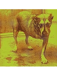 Alice In Chains [Explicit]