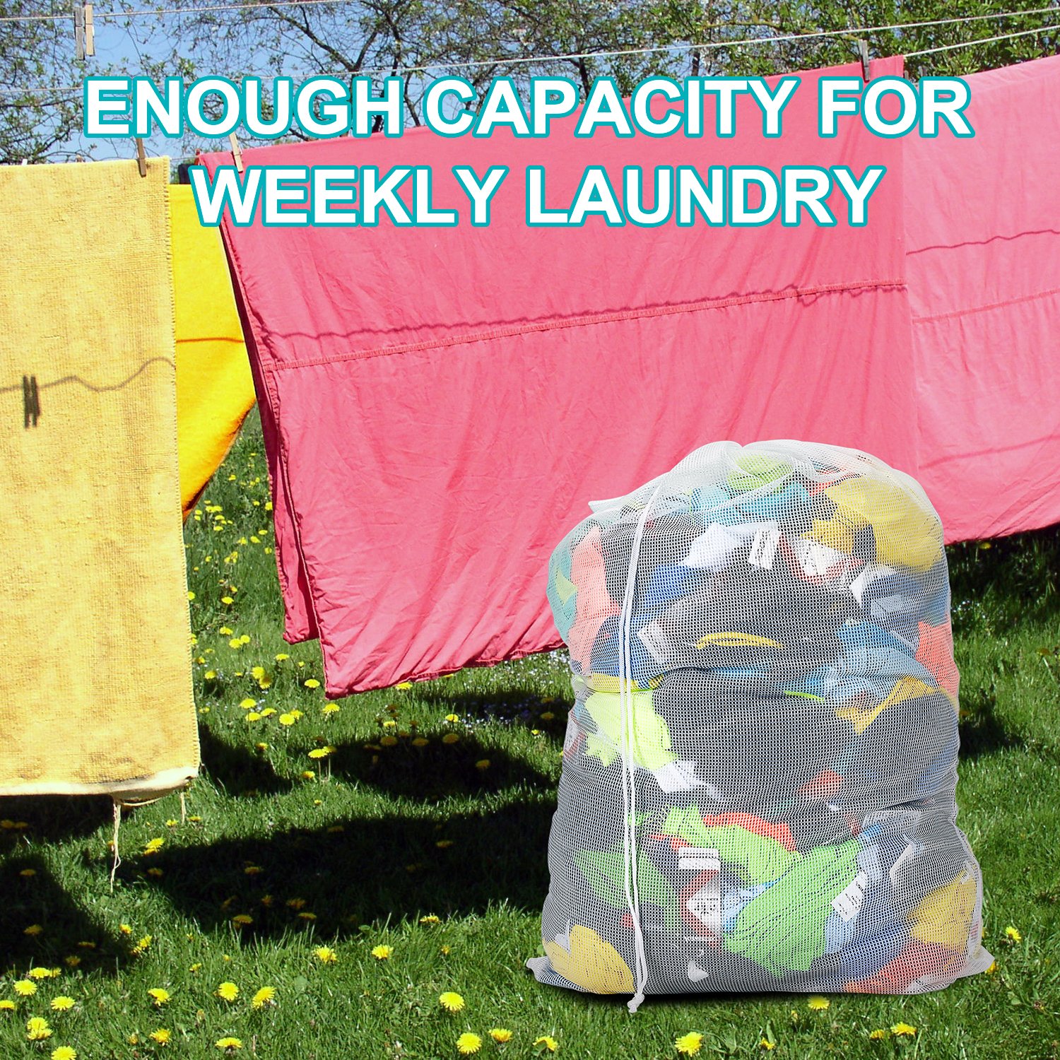 Daly Kate Commercial 24\