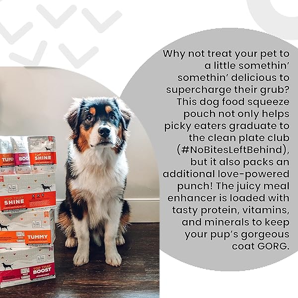 “I AND LOVE AND YOU” TOP THAT SHINE WET DOG FOOD POUCH, BEEF RECIPE IN GRAVY, 3 OZ (PACK OF 12)