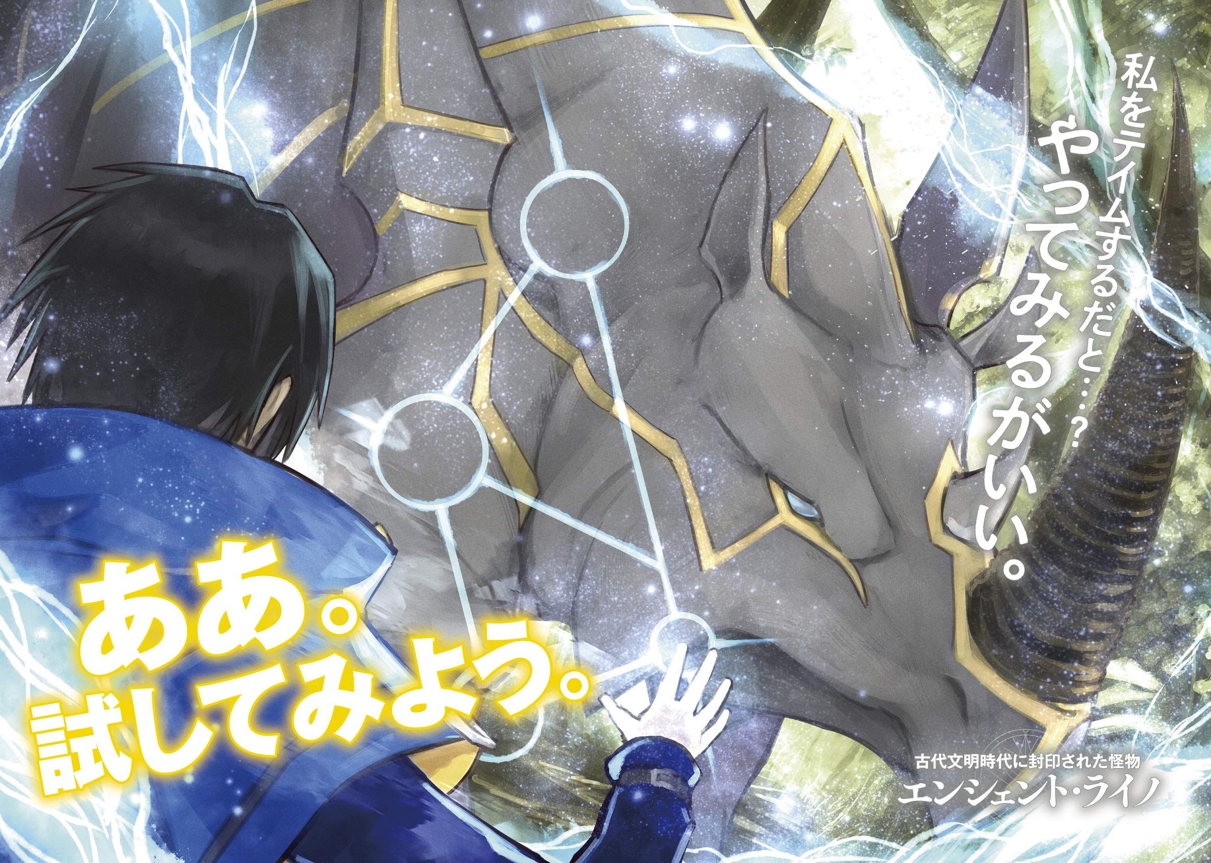 転生賢者の異世界ライフ7 第二の職業を得て 世界最強になりました Gaノベル 進行諸島 風花風花 本 通販 Amazon