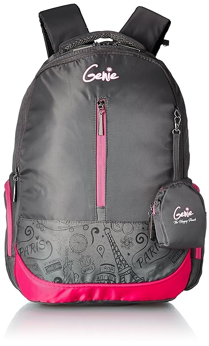 Genie 20 Ltrs Grey Laptop Backpack (Wander 1701 Grey)