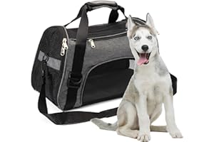 2 BROTHERS WHOLESALE Collapsible Cat Carrier Soft - Small Dog Carriers for Small Dogs - Small Pet Carrier Airline Approved Dog Carrier - Lightweight Cat Bag Carrier & Portable Puppy Carrier for Small Dogs (Large, Grey)