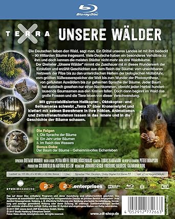 Download Blume sucht baum Desktop Wallpaper Free Blume Sucht Baum