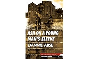 Ash on a Young Man's Sleeve (Library of Wales Book 9)