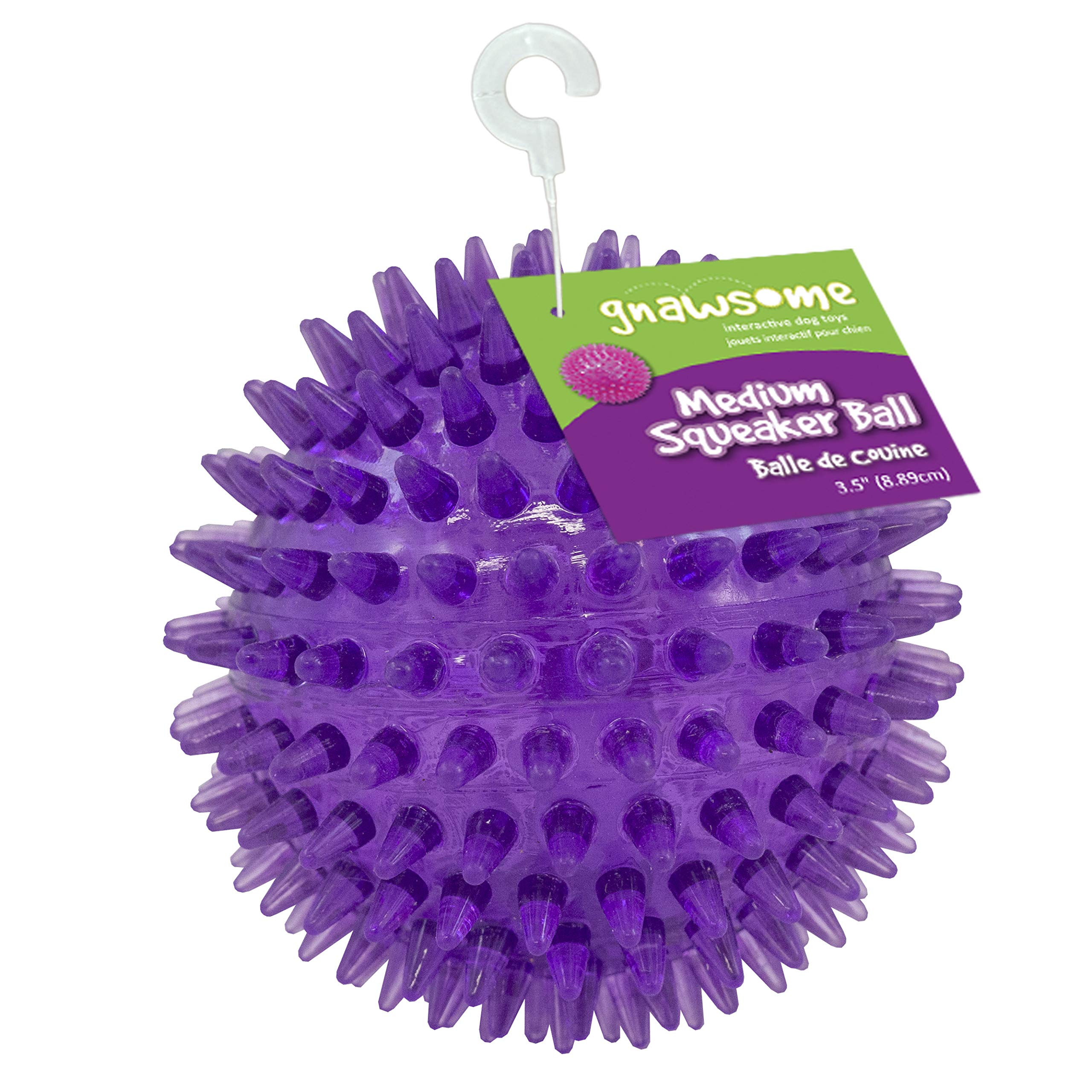 Gnawsome Medium Squeaker Ball for Dog Toy 3.5" Pets Play Thrower